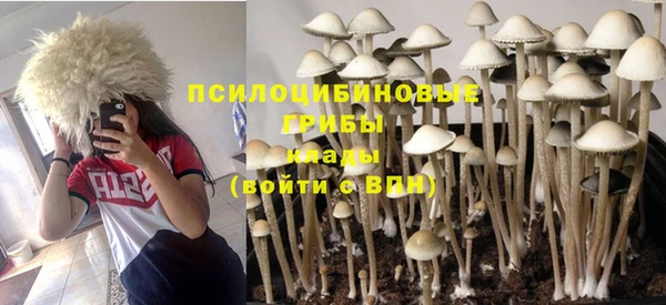 кокаин премиум Зеленокумск