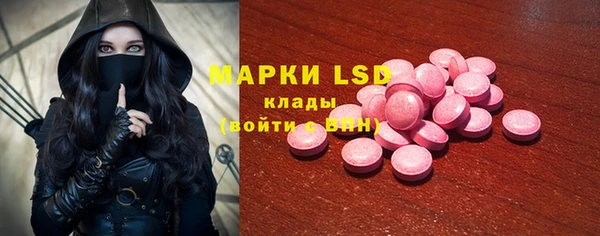 PSILOCYBIN Зерноград