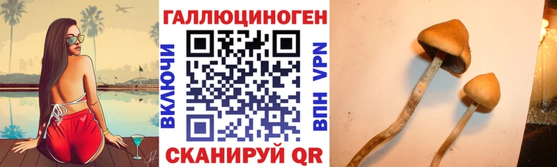 где найти наркотики  Опочка  Галлюциногенные грибы Cubensis 